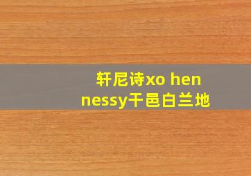 轩尼诗xo hennessy干邑白兰地